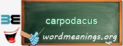 WordMeaning blackboard for carpodacus
